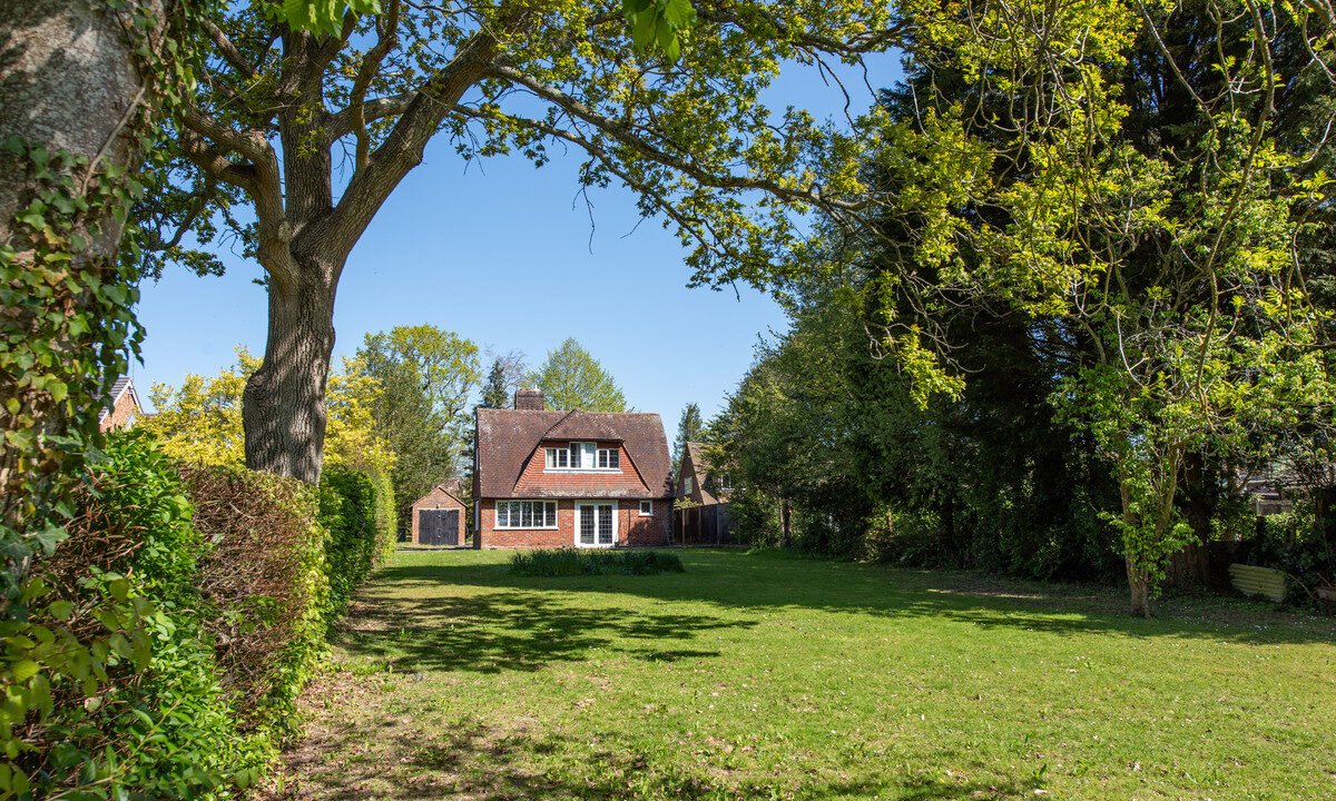PineCottageHawkhurst_5b20-0c47-7166-010e-346e-a2fc-bf75-9179_20260428081955.jpg