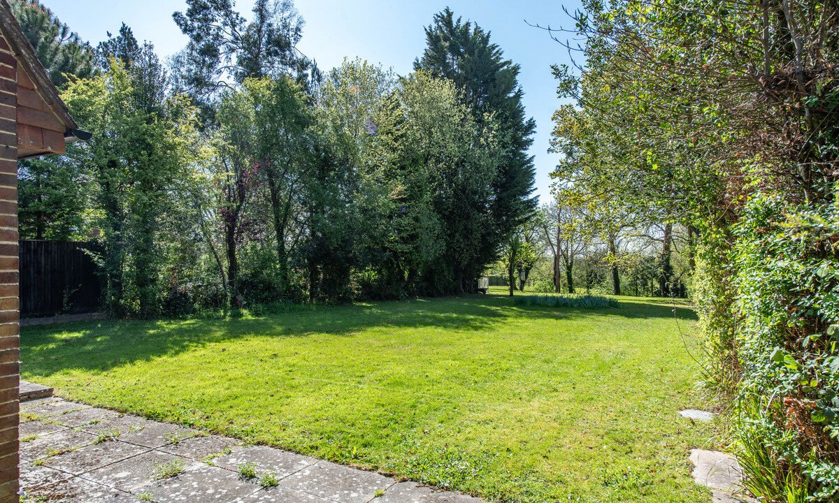 PineCottageHawkhurst_fdc5-93cb-89fe-c650-ec95-660f-3026-d65b_20260428081928.jpg