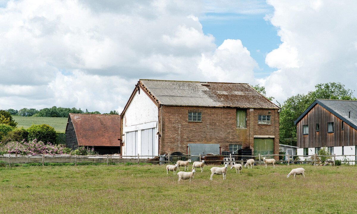 longbrooksoast-sjr-p_8d41-392f-a1ed-1ae4-9461-5f56-b059-21c1_20260625104650.jpg